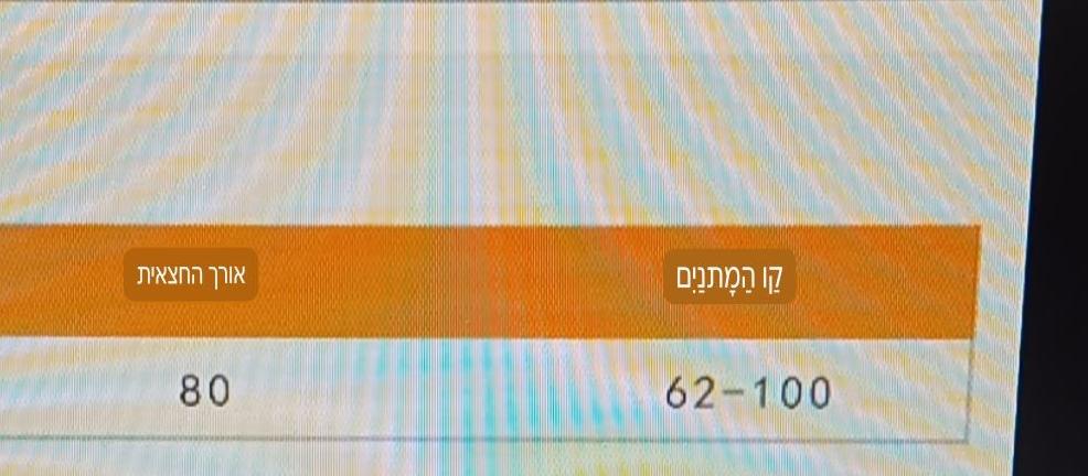 חצאית טול קלאסית בצבעים נייטרליים